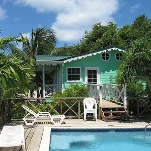 Lodge Palm, Castries